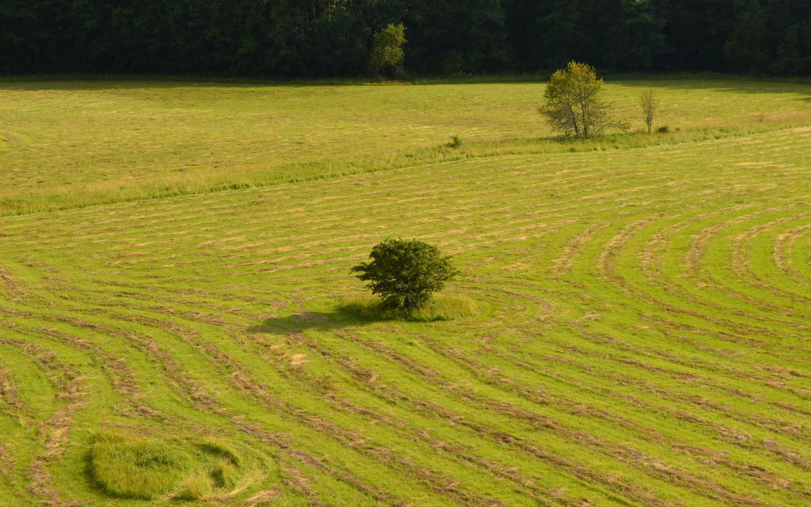 Aerial view of open green fields