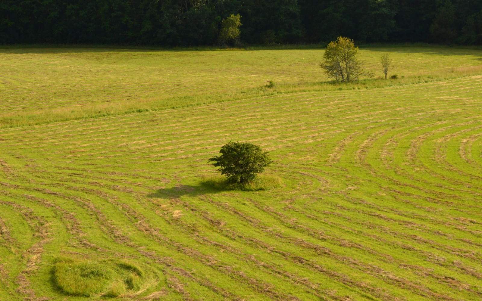 Aerial view of open green fields